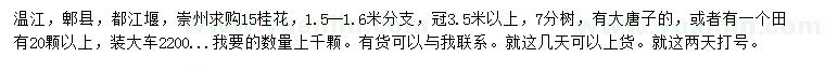 求購15公分桂花