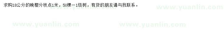 求購18公分晚櫻