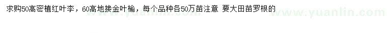 求購高50公分密植紅葉李、60公分地接金葉榆