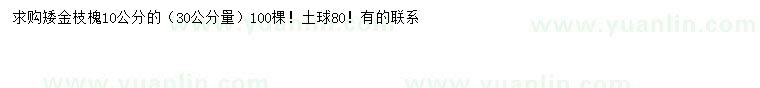 求購30公分量10公分矮金枝槐