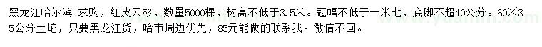 求購冠幅1.7米紅皮云杉