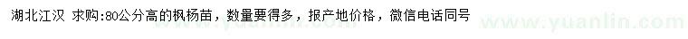 求購高80公分楓楊苗