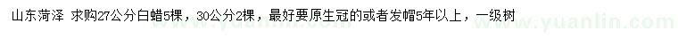 求購27、30公分白蠟