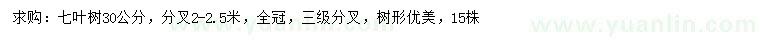 求購(gòu)30公分七葉樹