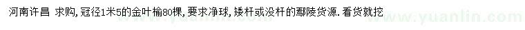 求購冠徑1.5米金葉榆