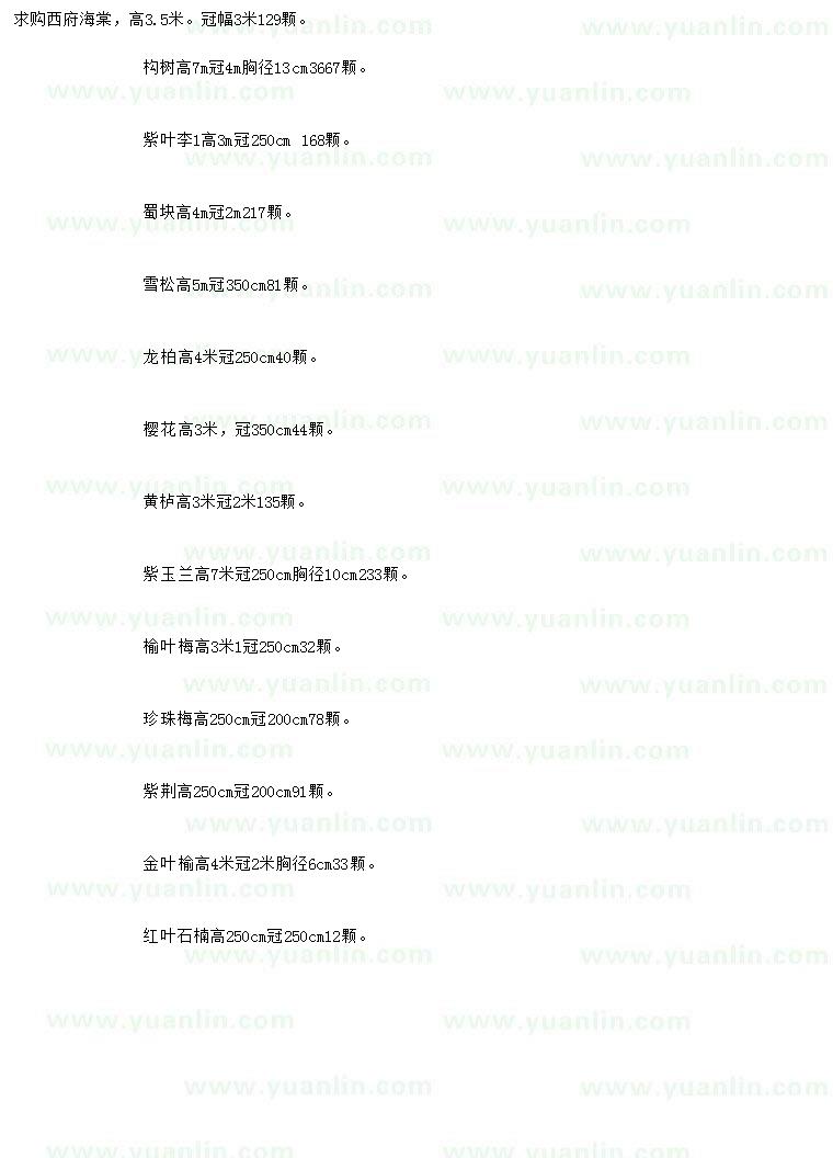 求購西府海棠、構(gòu)樹、紫葉李等