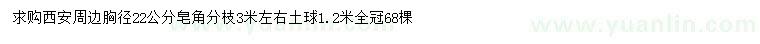 求購(gòu)胸徑22公分皂角