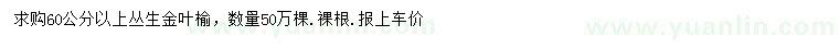 求購60公分以上叢生金葉榆