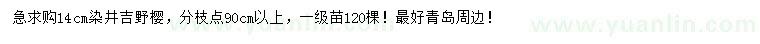 求購(gòu)14公分染井吉野櫻