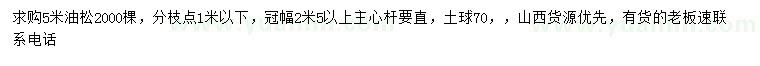 求購5米油松