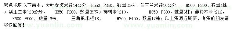 求購大葉女貞、白玉蘭、紫玉蘭等