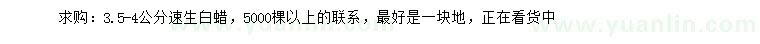 求購3.5-4公分速生白蠟