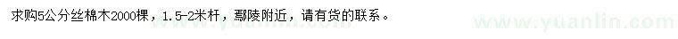求購5公分絲棉木