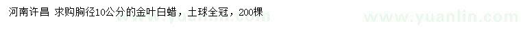 求購胸徑10公分金葉白蠟