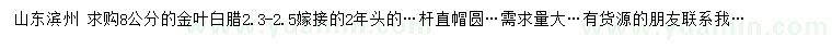 求購8公分金葉白臘
