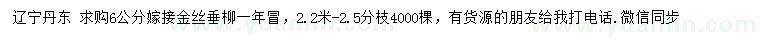 求購6公分嫁接金絲垂柳