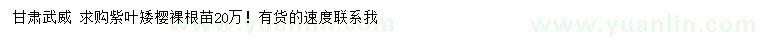 求購紫葉矮櫻