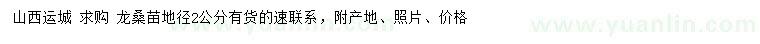 求購地徑2公分龍桑苗