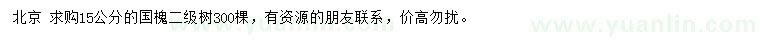 求購15公分國槐