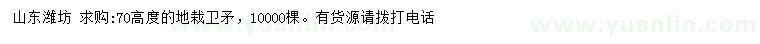 求購(gòu)高度70公分地栽衛(wèi)矛