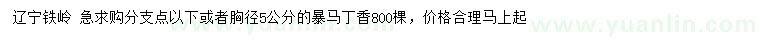 求購(gòu)胸徑5公分暴馬丁香