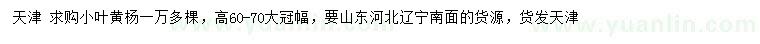 求購高60-70公分小葉黃楊