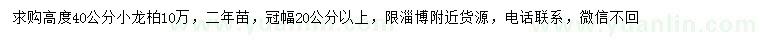 求購(gòu)高度40公分小龍柏