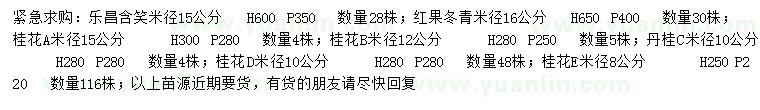 求購樂昌含笑、紅果冬青、桂花等