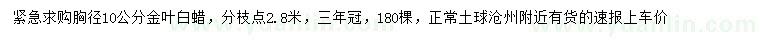 求購(gòu)胸徑10公分金葉白蠟