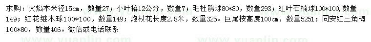 求購火焰木、小葉榕、毛杜鵑球等