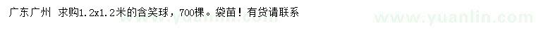 求購1.2x1.2米含笑球