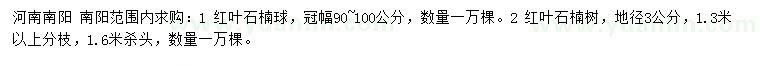 求購冠幅90-100公分紅葉石楠球、地徑3公分紅葉石楠樹