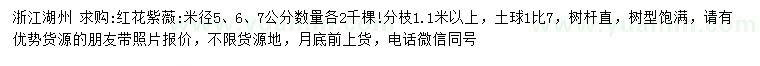 求購米徑5、6、7公分紅花紫薇