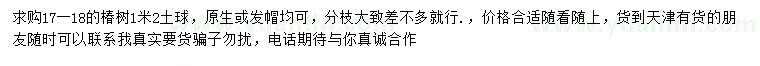 求購17-18公分椿樹
