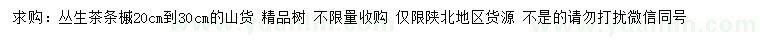 求購20-30公分叢生茶條槭