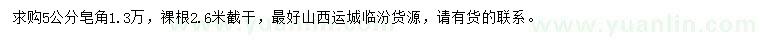 求購5公分皂角