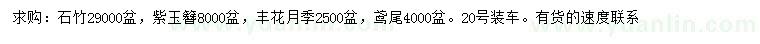 求購石竹、紫玉簪、豐花月季等