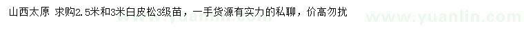 求購2.5、3米白皮松