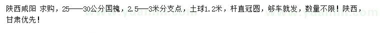 求購25-30公分國槐
