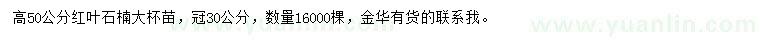 求購高50公分紅葉石楠
