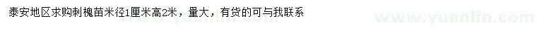求購米徑1公分刺槐苗