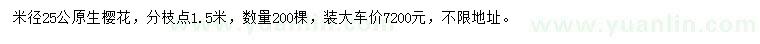 求購米徑25公分櫻花