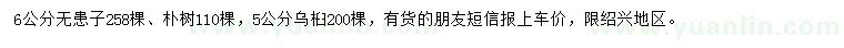 求購無患子、樸樹、烏桕