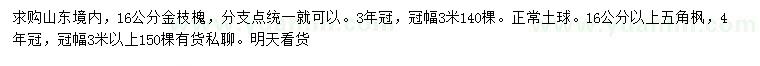 求購(gòu)16公分金枝槐、16公分以上五角楓