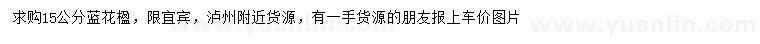求購15公分藍(lán)花楹