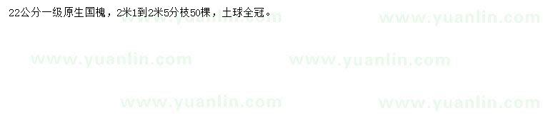 求購22公分國槐