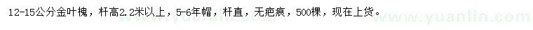 求購(gòu)12-15公分金葉槐