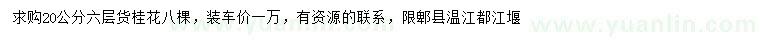 求購20公分桂花