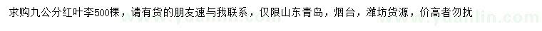 求購(gòu)九公分紅葉李
