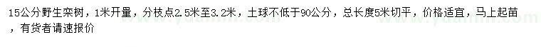 求購(gòu)1米量15公分欒樹
